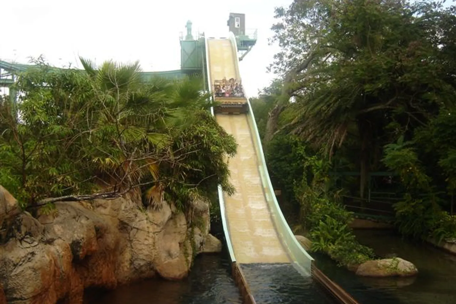 Busch Gardens Tampa Bay visite : faut-il un pass coupe-file ?