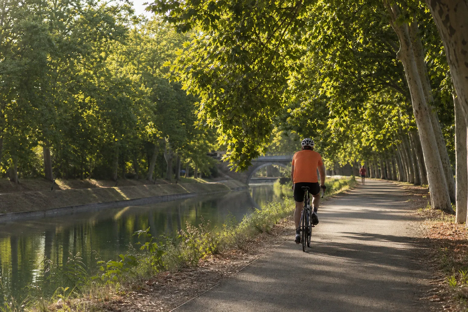Canicule en Occitanie : l'impact sur les locations saisonnières et le tourisme