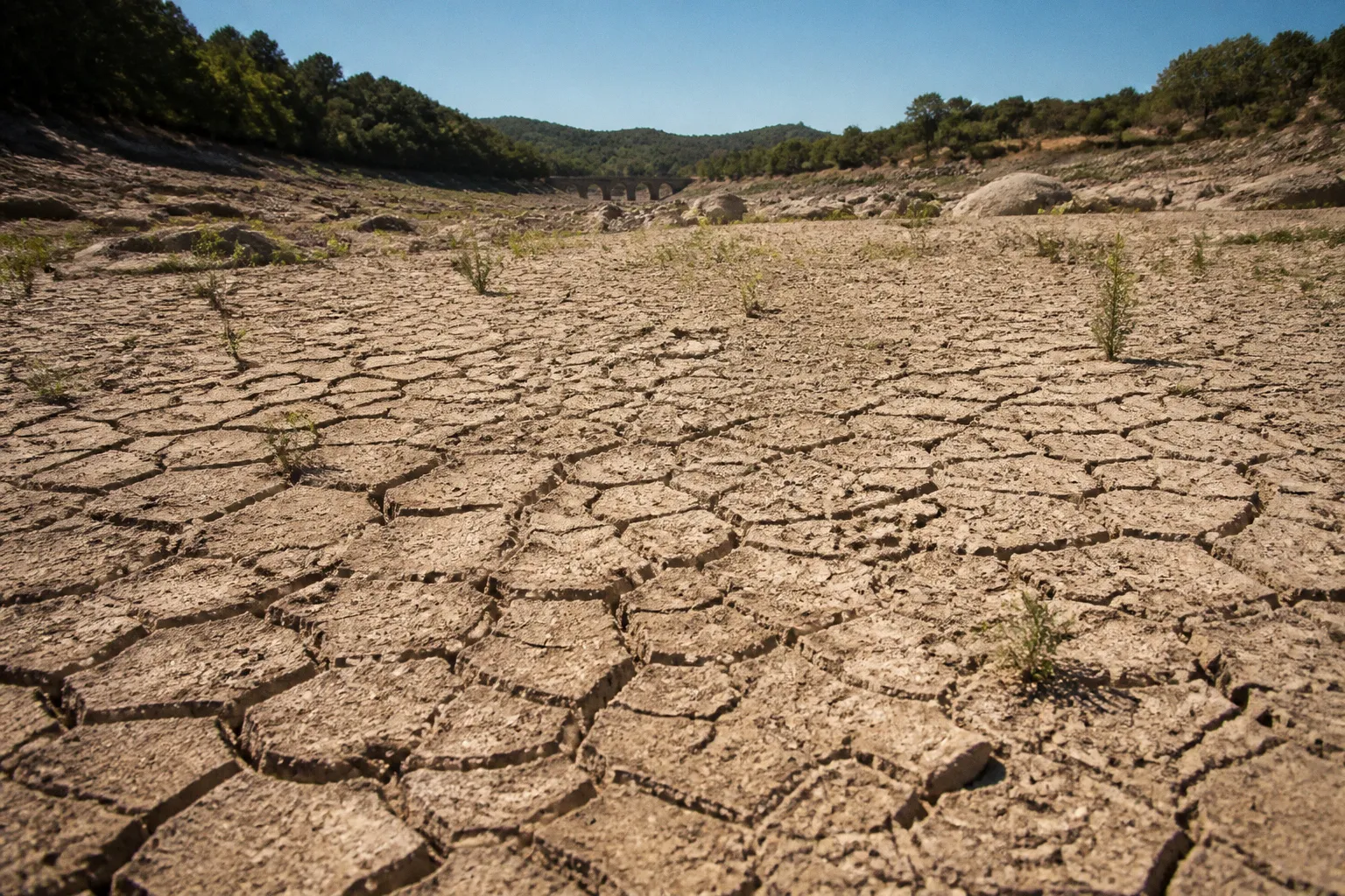 Sécheresse dans l'Hérault : comment les restrictions impactent vos locations saisonnières