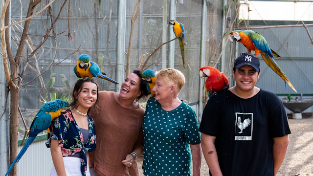 Jardins botaniques de Maleny et Bird World