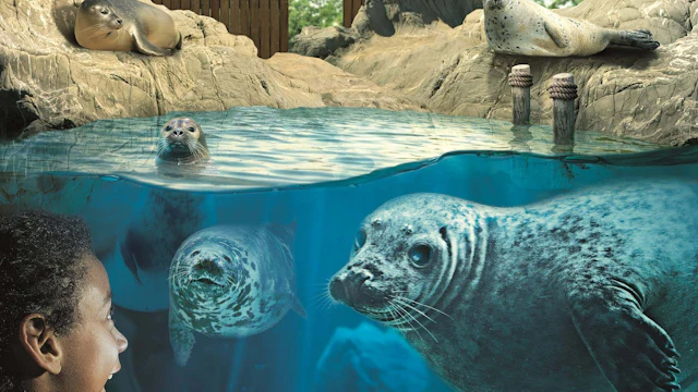 SEA LIFE Hunstanton