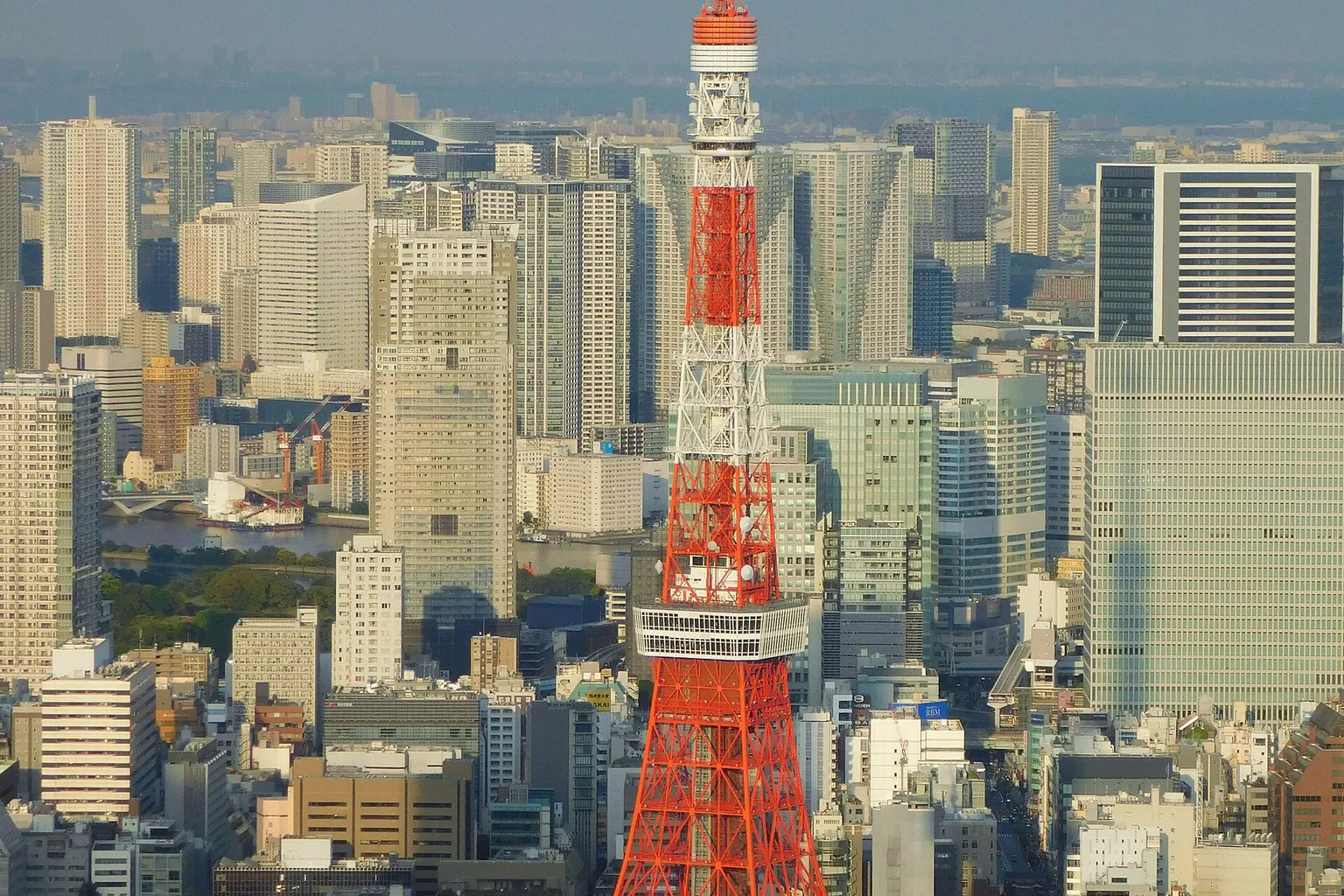 Tour de Tokyo : pièges à éviter lors de la réservation
