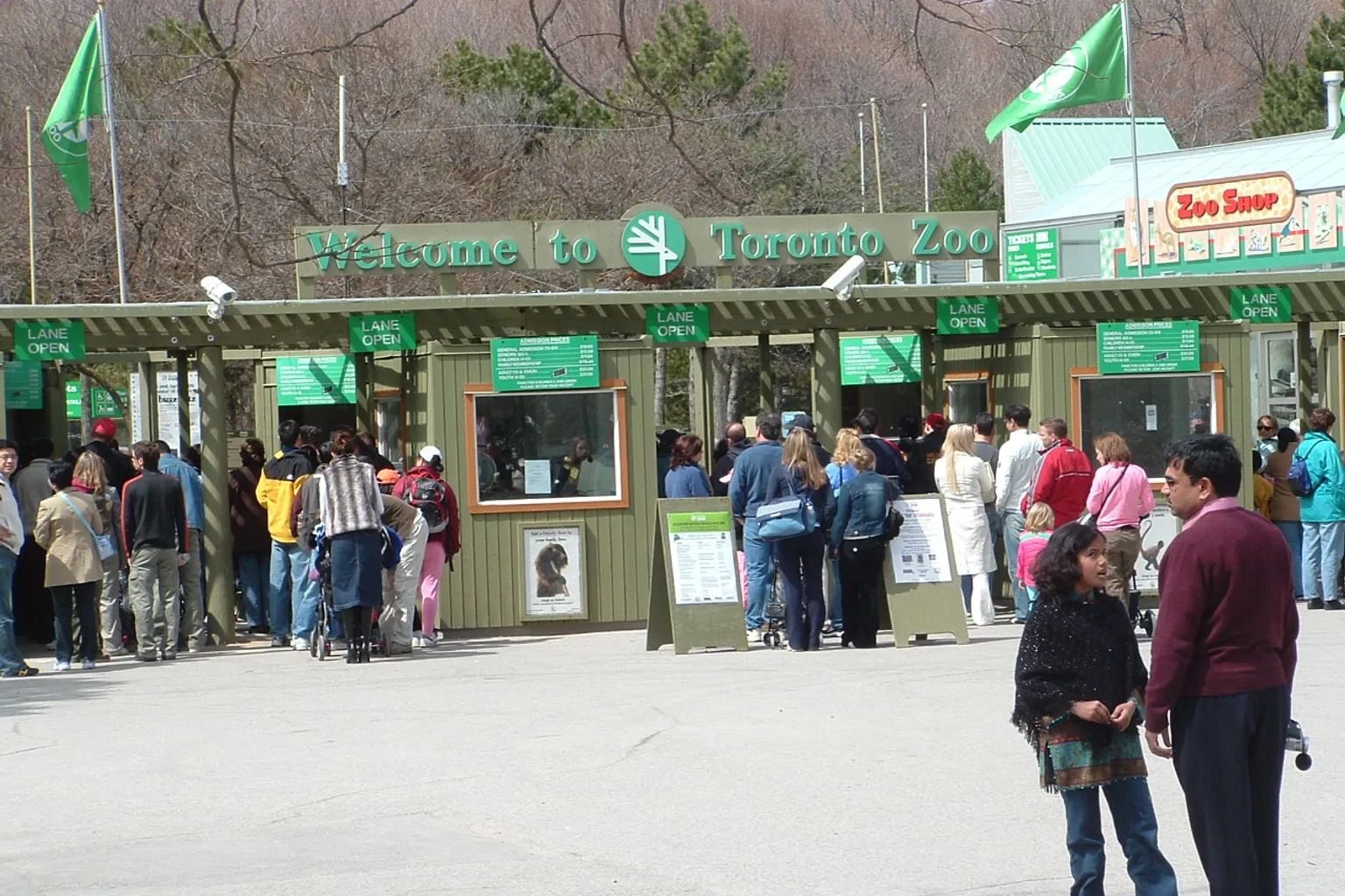 Zoo de Toronto : les pièges à éviter lors de vos achats